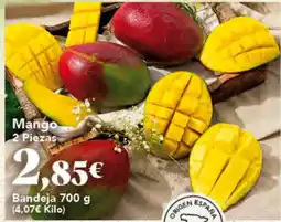 Gadis Mango oferta