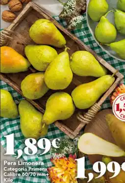 Gadis Pera Limonera oferta