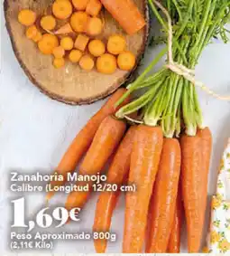 Gadis Zanahoria Manojo oferta