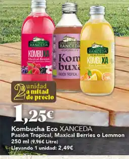 Gadis Kombucha Eco XANCEDA oferta