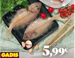 Gadis Gallo - galola recion oferta