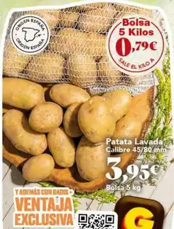 Gadis Origen - patata lavada calibre oferta