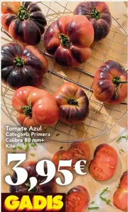 Gadis Tomate azul oferta