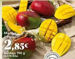 Gadis Mango - bandeja oferta