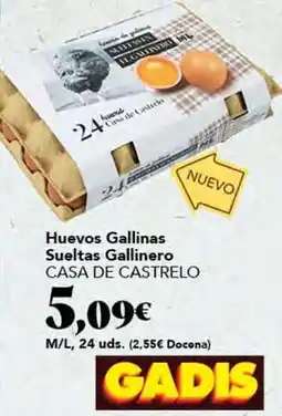 Gadis Huevos gallinas suletas gallinero oferta