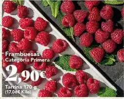 Gadis Frambuesas categoria primera oferta