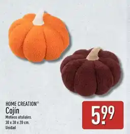 ALDI Home creation - cojin oferta
