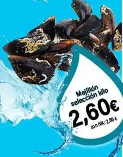Cash Ifa Mejillon oferta