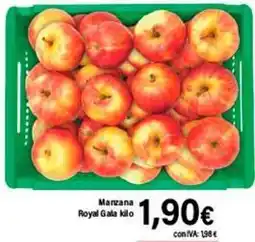 Cash Ifa Gala - marzana royal oferta
