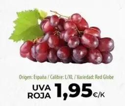 SPAR Lanzarote uva roja oferta