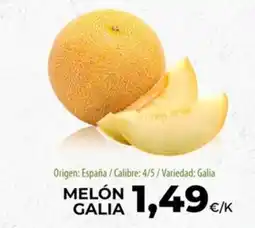 SPAR Lanzarote Melón Galia oferta