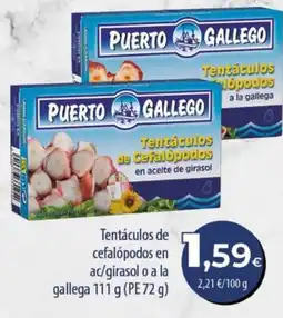 SPAR Lanzarote Puerto Gallego tentáculos de cefalópodos oferta