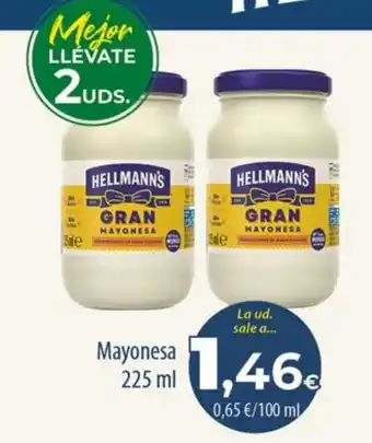 Hellmann's gran mayonesa