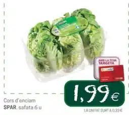 Valvi Supermercats SPAR cors d'enciam oferta