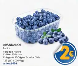 Supermercados Plaza Arándanos oferta