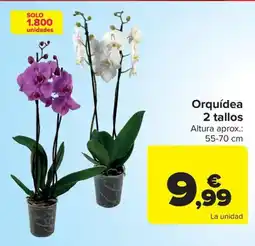 Carrefour Orquídea oferta