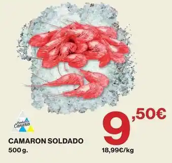 Camaron soldado