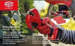 Cadena88 Poda profesional oferta
