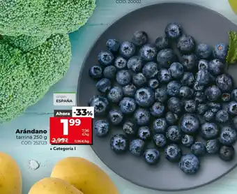 Dia Arándano 250g oferta