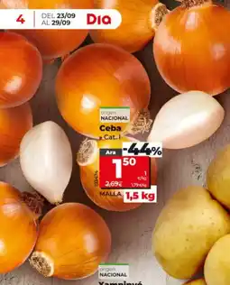 Dia Ceba oferta