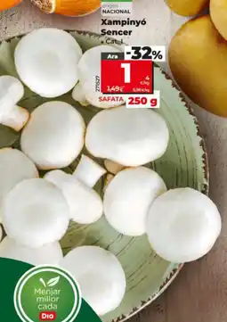 Dia Xampinyó Sencer oferta