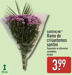 ALDI Gardenline ramo de crisantemos santini oferta