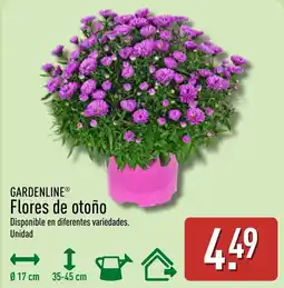 ALDI Gardenline flores de otoño oferta