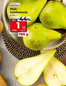 Dia Pera Conferència oferta