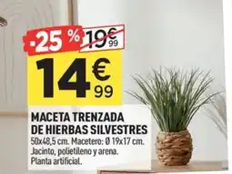Centrakor Maceta trenzada de hierbas silvestres oferta