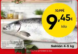 FROIZ Salmón 4-5 kg oferta