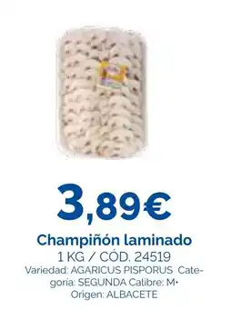 Dialsur Cash & Carry Champiñón laminado oferta