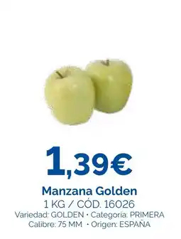 Dialsur Cash & Carry Manzana Golden oferta