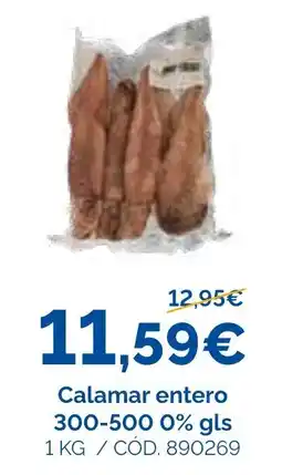 Dialsur Cash & Carry Calamar entero oferta