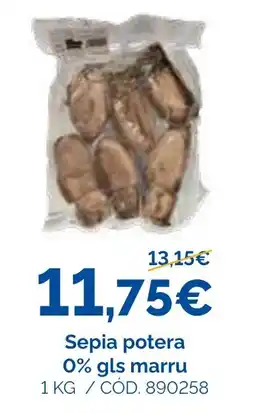 Dialsur Cash & Carry Sepia potera oferta