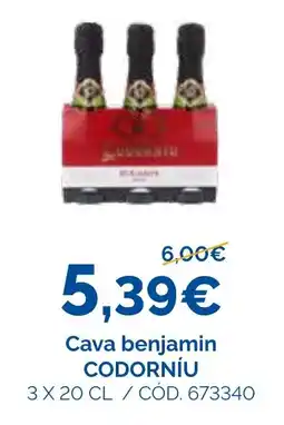 Dialsur Cash & Carry Cava benjamin codorniu oferta