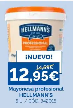 Dialsur Cash & Carry Hellmann's mayonesa profesional oferta