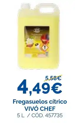 Dialsur Cash & Carry Vivó Chef fregasuelos cítrico oferta