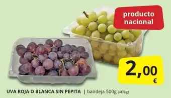 Uva roja o blanca sin pepita