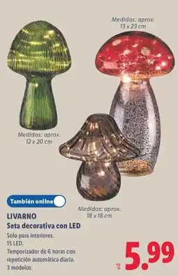 Lidl Livarno seta decorativa con led oferta