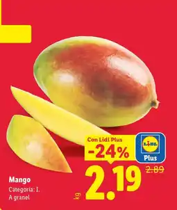 Lidl Mango oferta
