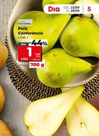Pera Conferència