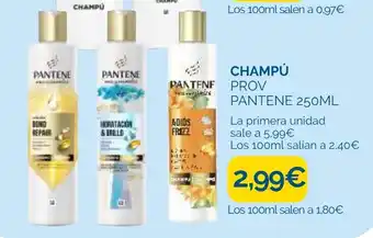 Pantene champú prov
