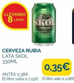 Cash Ecofamilia Skol cerveza rubia oferta