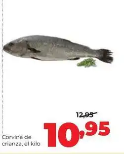 Alimerka Corvina de crianza oferta