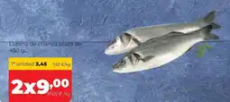 Alimerka Lubina de crianza pieza de oferta