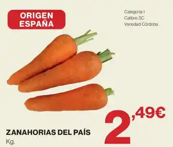 Zanahorias del país