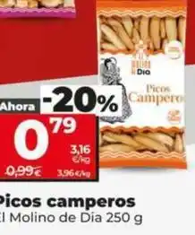 Dia El molino de dia - picos camperos oferta