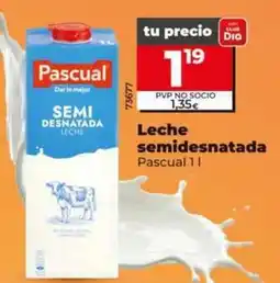 Dia Pascual - leche semidesnatada oferta