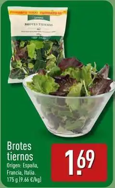 ALDI Brotes - brotes tiernos oferta