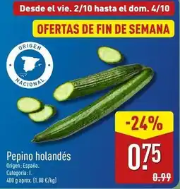 ALDI Origen - pepino holandes oferta